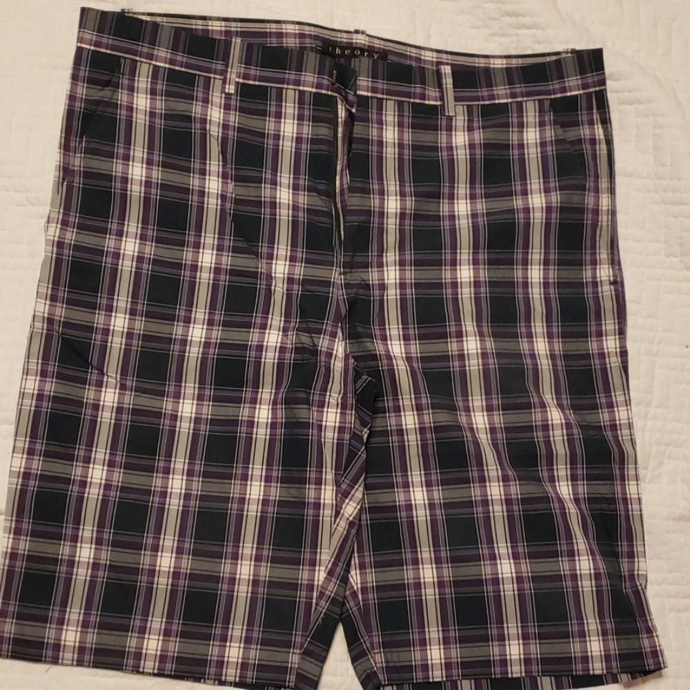 Theory Shorts worn once.
